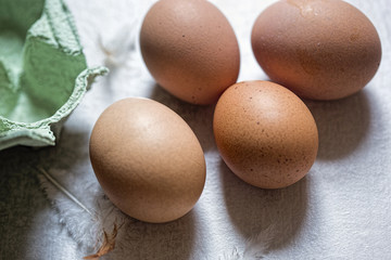 Eggs 