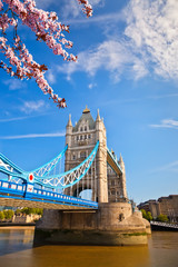 Fototapeta na wymiar Tower bridge at spring, London