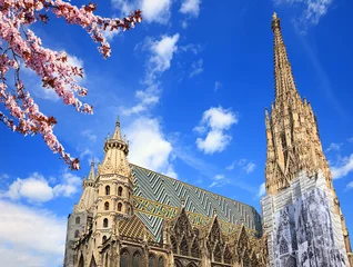 Zelfklevend Fotobehang St. Stephan-kathedraal in Wenen in de zomer © sborisov