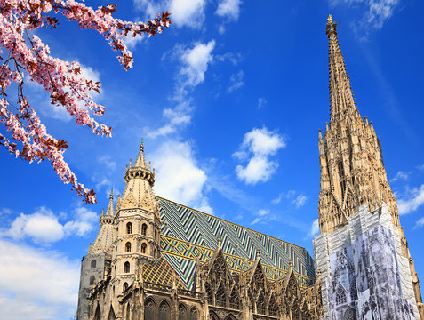St. Stephan cathedral in Vienna at summertime