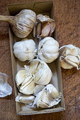 Garlic 
