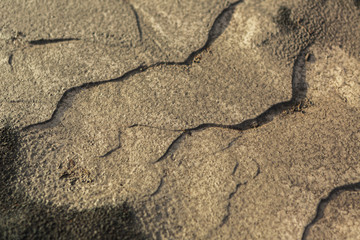 Fototapeta premium IL on bottom of river Studenaya. Kamchatka Peninsula.