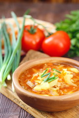 Traditional Russian Ukrainian vegetable borscht soup