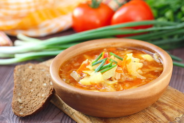 Traditional Russian Ukrainian vegetable borscht soup