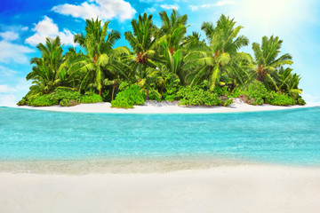 Fototapeta na wymiar Whole tropical island within atoll in Indian Ocean and blank sand on a tropical island.