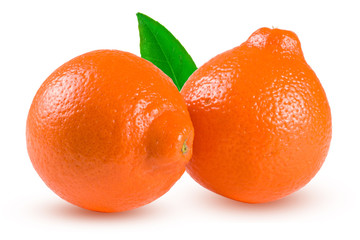two orange tangerine or Mineola with leaf isolated on white background