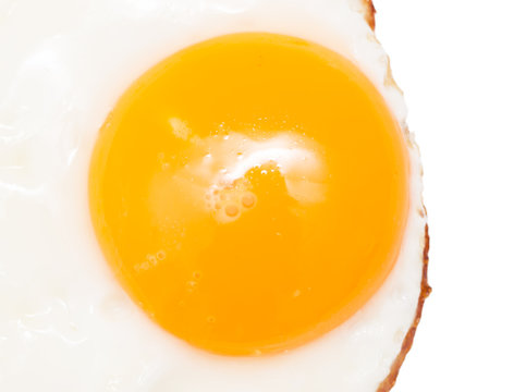 fried egg on a white background