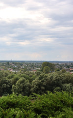 Summer landscape with green trees