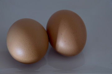 egg