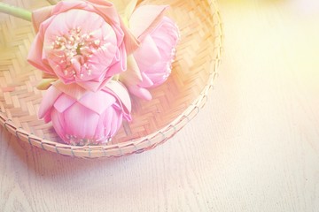 Pink lotus flower in basket and wooden background, spa concept. Blurry lilies and artificial light and copy space. Technical Writing Property artificial light.