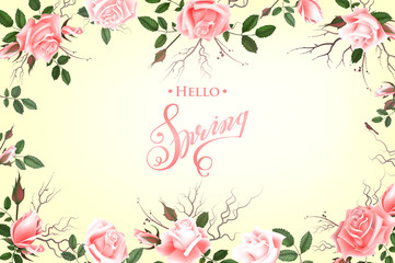 Hello Spring Background with Roses. Hand Drawn Lettering
