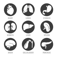 Set with icons of human organs. Vector