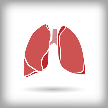 Lungs icon. Vector