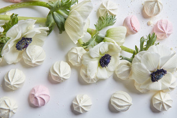 Fototapeta na wymiar White flowers on white background