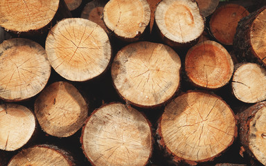 Fototapeta premium Beam background