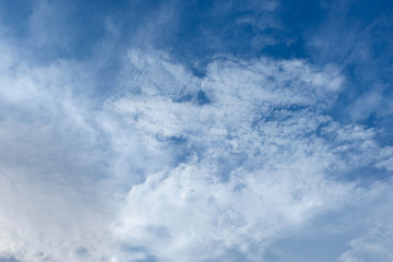 Obraz premium Blue sky