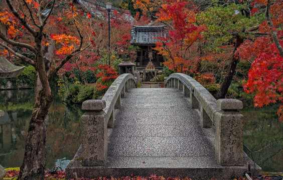 Beautiful autumn color change in Eikando temple, Kyoto, Japan.