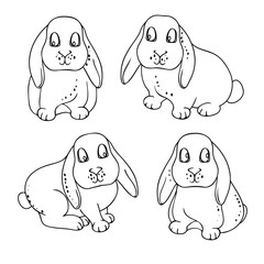 vector black white contour sketch of rabbits