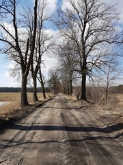 Prosta droga © michalsen