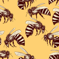 Bees seamless pattern