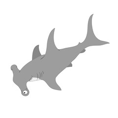 cute hammer shark vector illustration isolated on white