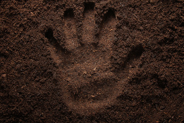 Handprint on soil - obrazy, fototapety, plakaty