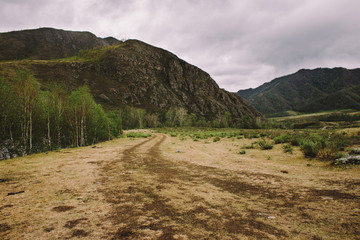 Sand meadow with mountains and trees