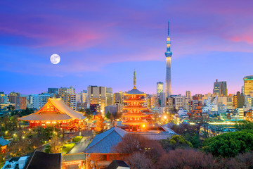 Uitzicht op de skyline van Tokyo in de schemering