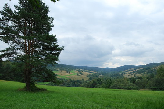 Magurski Park Narodowy, Sciezka Przyrodnicza "Kiczera".