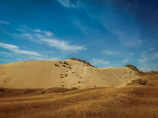 Landscape with Cloud Sky