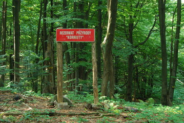 Magurski Park Narodowy, Rezerwat "Kornuty".