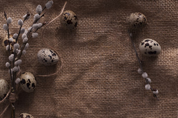 Quail eggs on a textile background