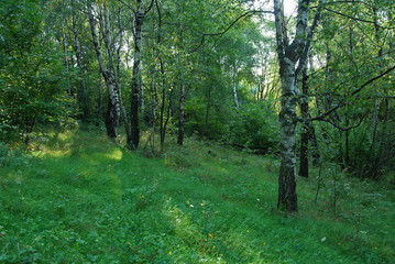 Pogorze Jasielskie, Rezerwat 