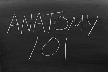 Obraz premium The words 