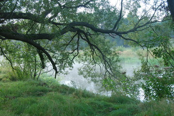 Spalski Park Krajobrazowy, Rzeka Pilica.