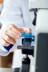 Young woman looking through microscope in laboratory.