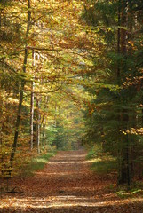 Roztoczanski Park Narodowy.