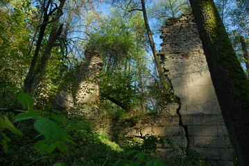 Park Krajobrazowy Puszczy Solskiej © M. G. Koperkiewicz