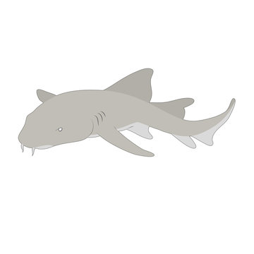 Natural nurse shark vector illustration isolated on white