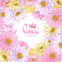 Lotus floral illustration