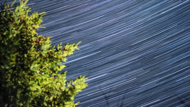 Amazing night timelapse footage of star trails in space. Pine forest. Nature landscape.