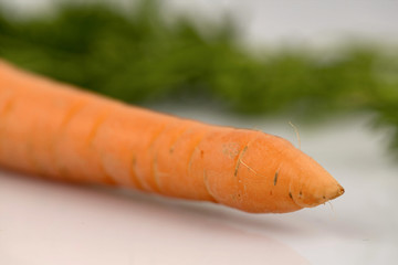 Frische Möhren