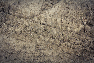 Tire tracks on a wet muddy road