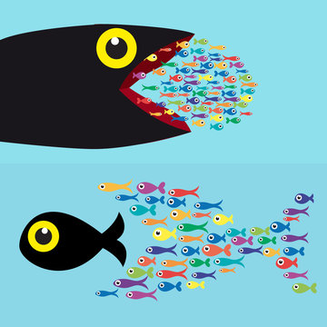 Many fish together as big fish of concept business teamwork.