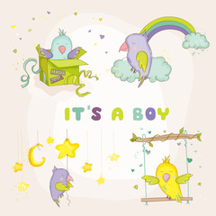 Newborn Cute Parrot Set for Baby Shower or Baby Arrival Cards in vector