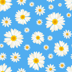Vector seamless pattern with white daisy flowers on a blue background.