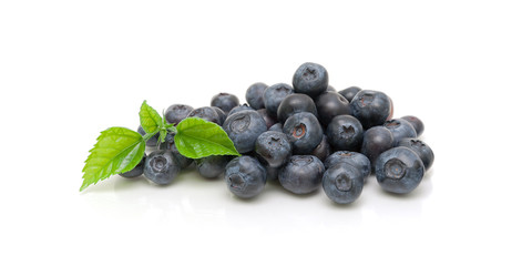 blueberries isolated on white background close-up