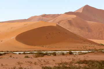Namib Desert, Namib-Naukluft National Park of Namibia.