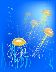 Vector illustration with a group of jellyfish. bubble and seaweed