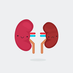 Kidney characters vector illustration